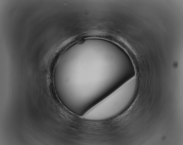 X0000100771213200806190925