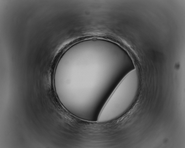 X0000100771214200806190925
