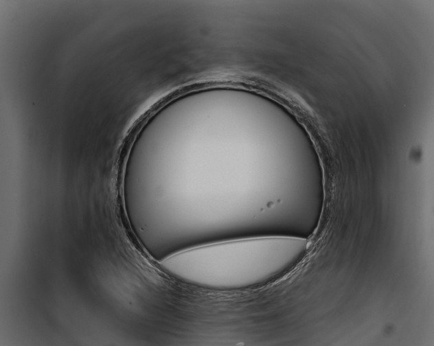 X0000100771216200806190925