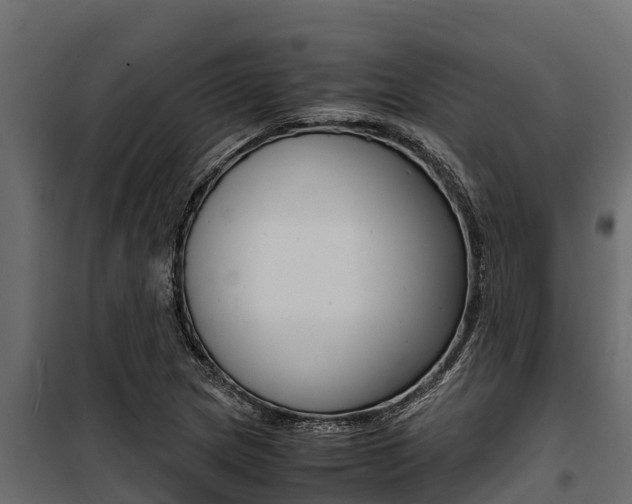 X0000100771217200806190925