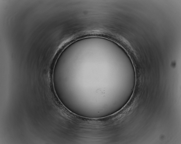 X0000100771218200806190925