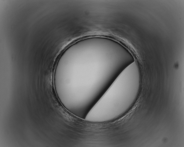 X0000100771220200806190925