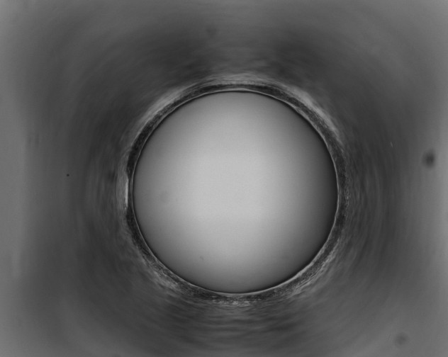X0000100771221200806190925