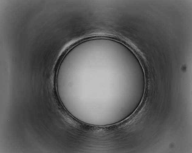 X0000100771222200806190925