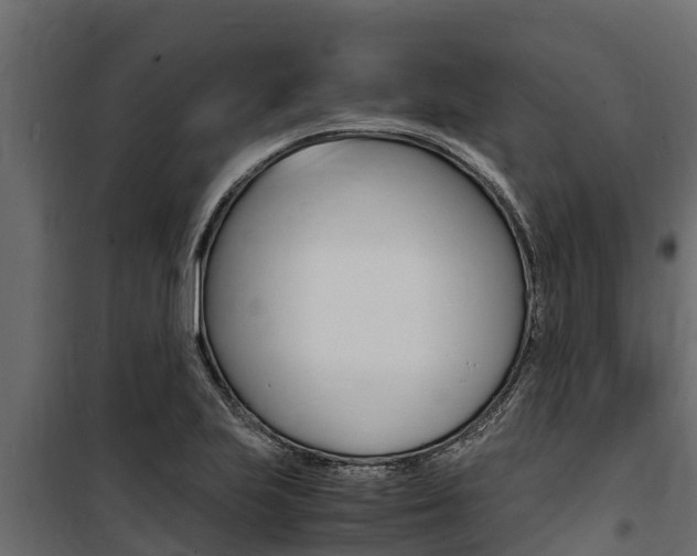 X0000100771223200806190925