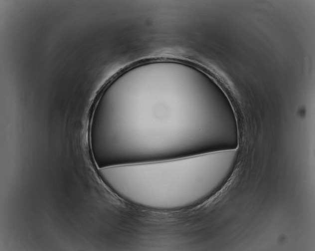 X0000100771224200806190925