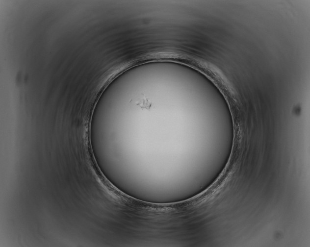 X0000100771225200806190925