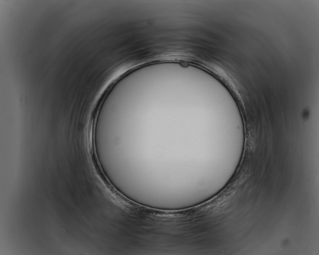 X0000100771227200806190925