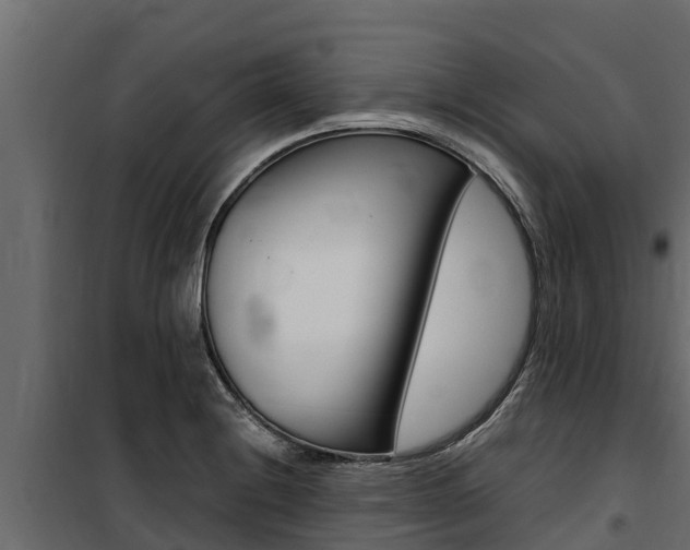 X0000100771228200806190925