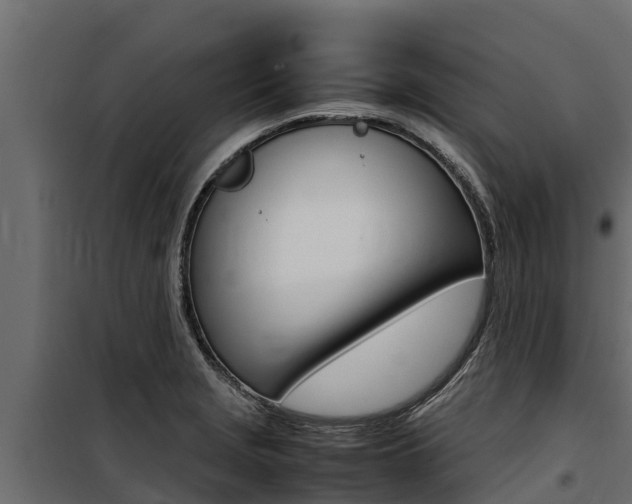 X0000100771229200806190925