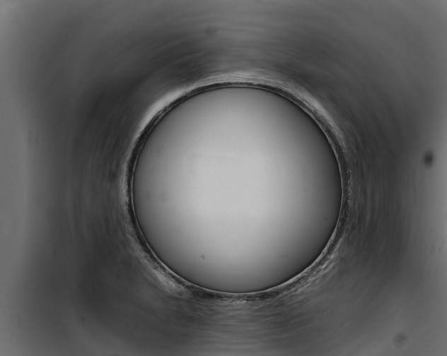 X0000100771230200806190925