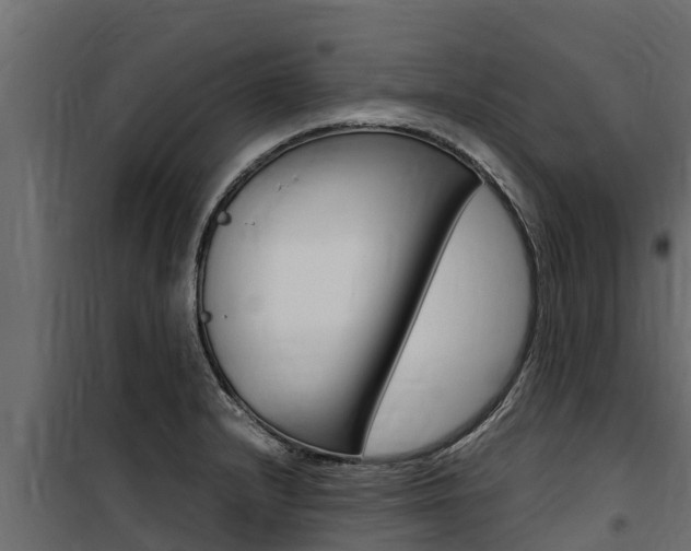 X0000100771232200806190925