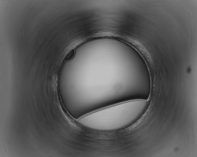 X0000100771233200806190925
