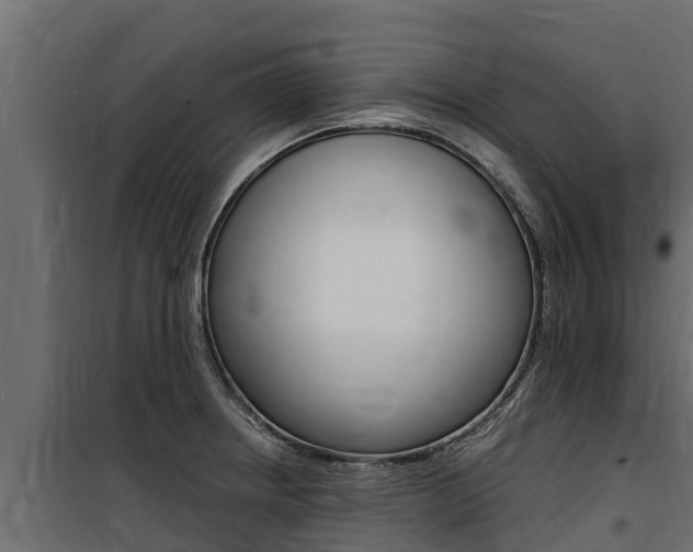 X0000100771234200806190925
