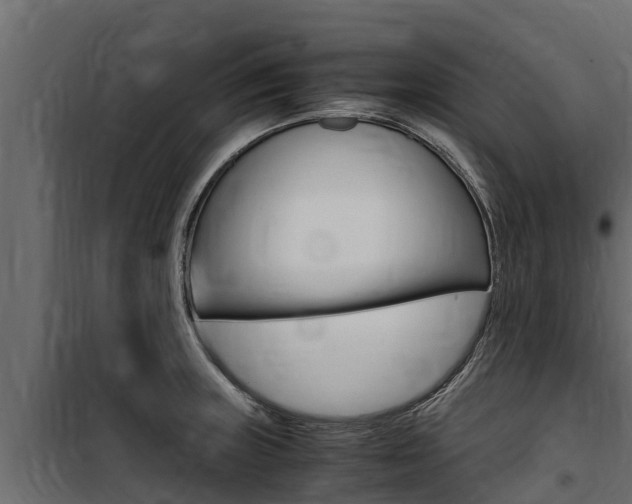 X0000100771235200806190925
