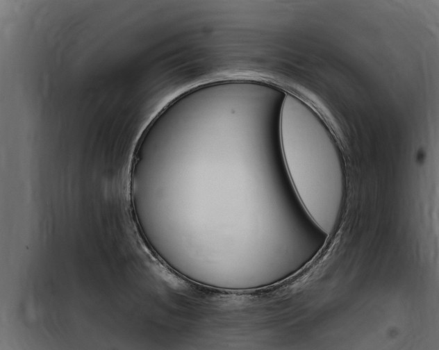 X0000100771236200806190925