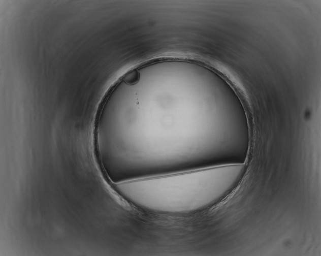 X0000100771237200806190925