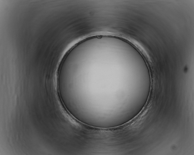X0000100771238200806190925