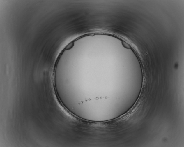 X0000100771239200806190925
