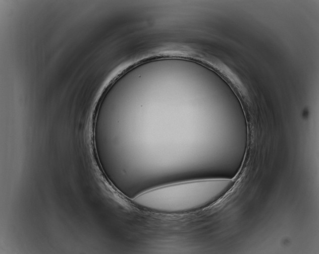 X0000100771240200806190925