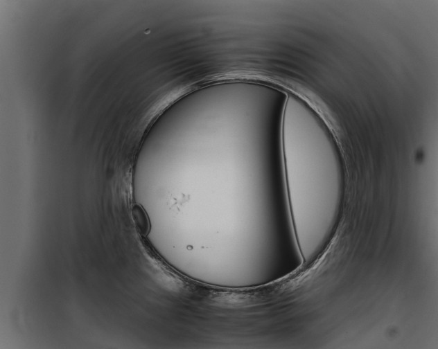 X0000100771241200806190925
