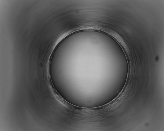 X0000100771242200806190925