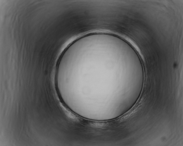 X0000100771245200806190925