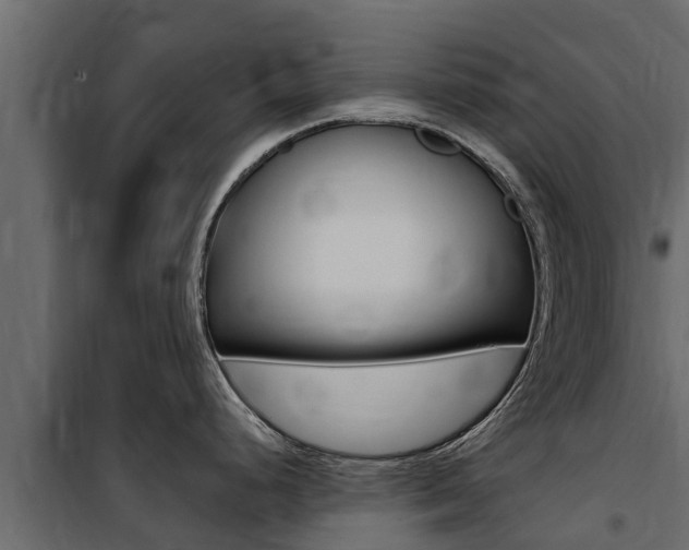 X0000100771248200806190925