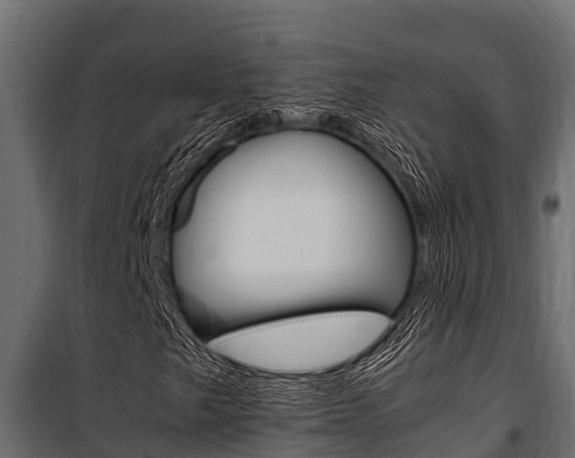 X0000100771249200806190925