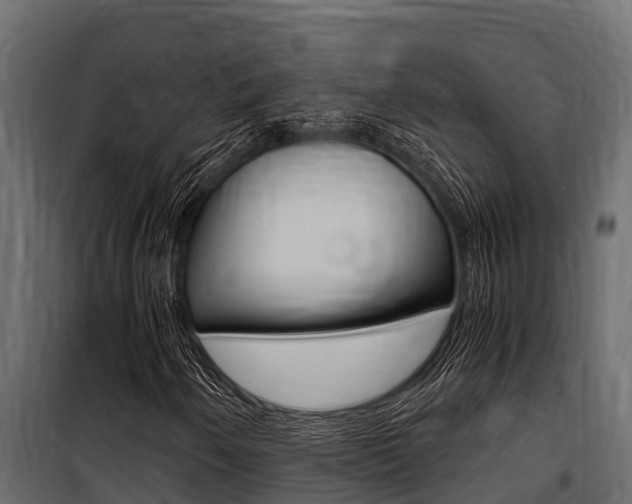 X0000100771250200806190925