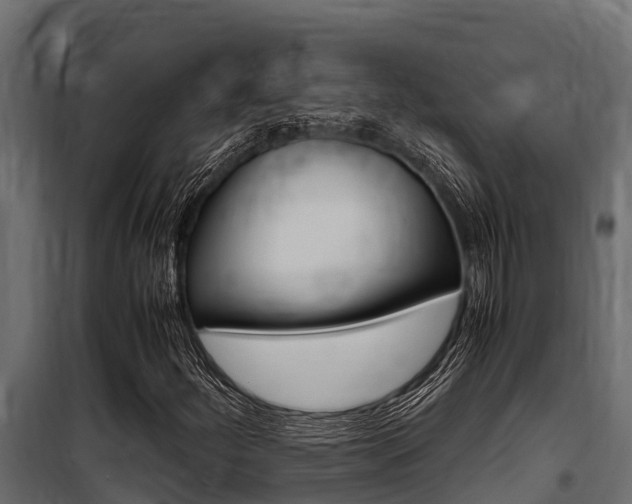 X0000100771252200806190925