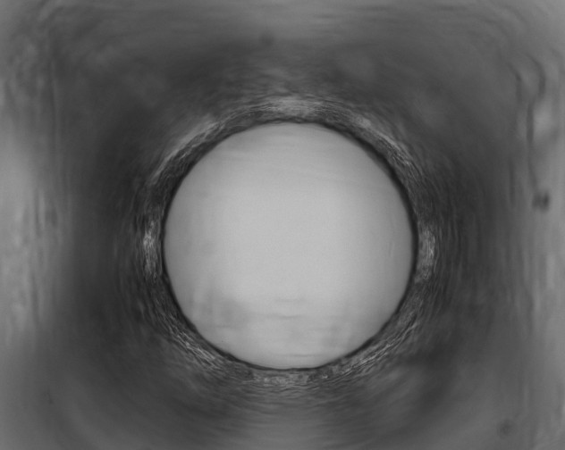 X0000100771254200806190925