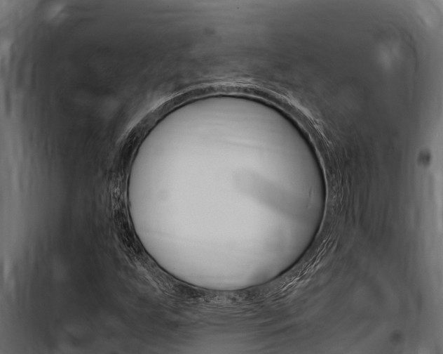 X0000100771255200806190925