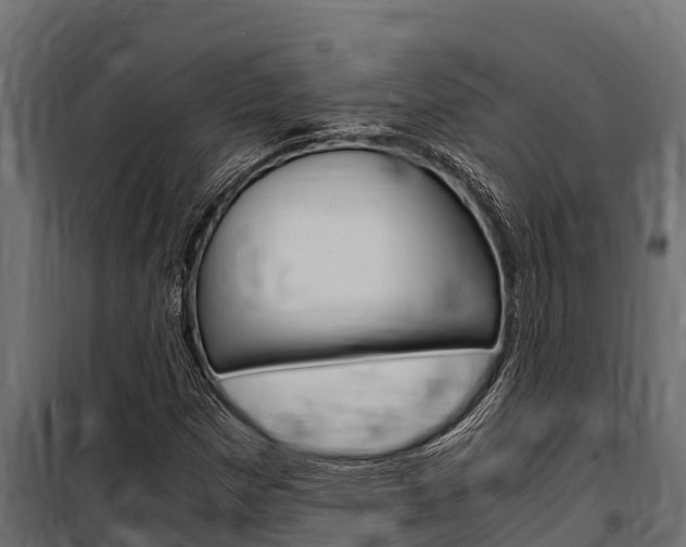 X0000100771257200806190925