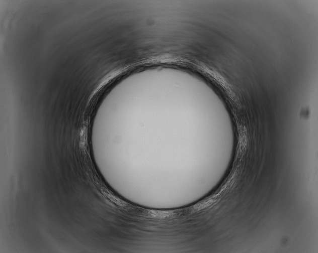 X0000100771258200806190924
