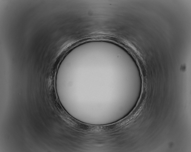X0000100771259200806190924