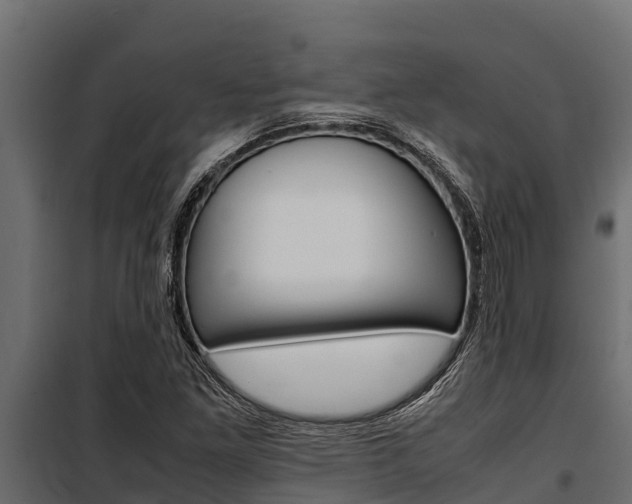 X0000100771261200806190924