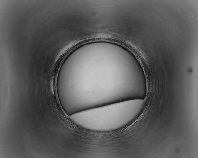 X0000100771262200806190924