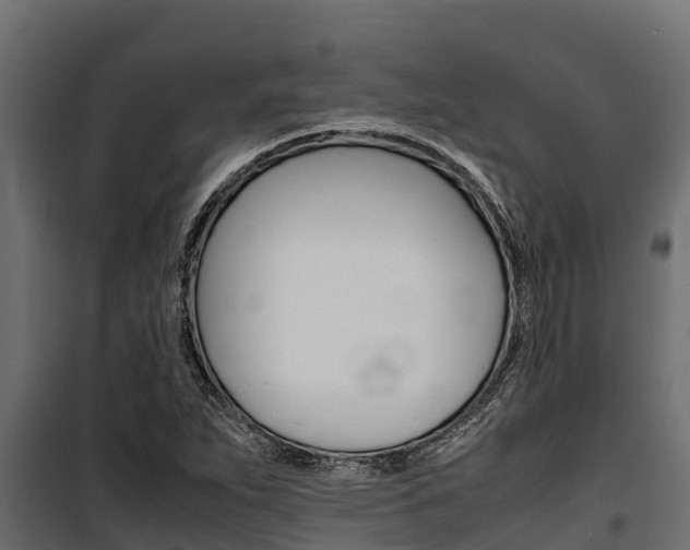 X0000100771263200806190924
