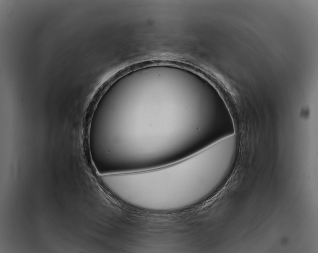 X0000100771264200806190924