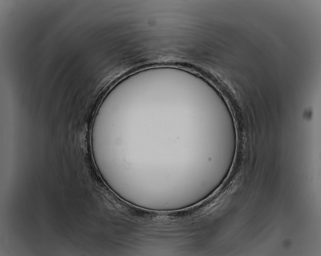 X0000100771265200806190924