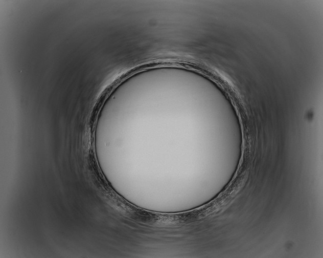 X0000100771267200806190924