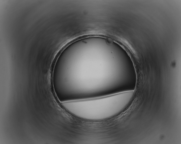 X0000100771268200806190924