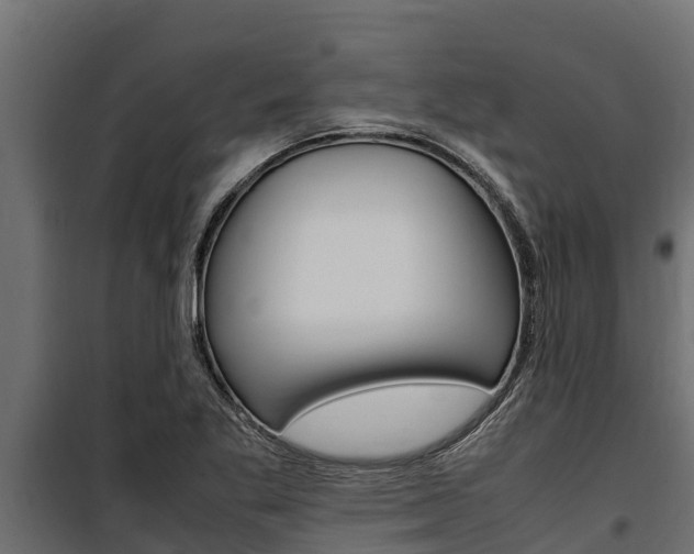X0000100771269200806190924