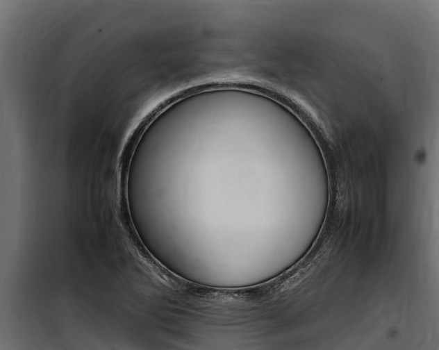 X0000100771270200806190924