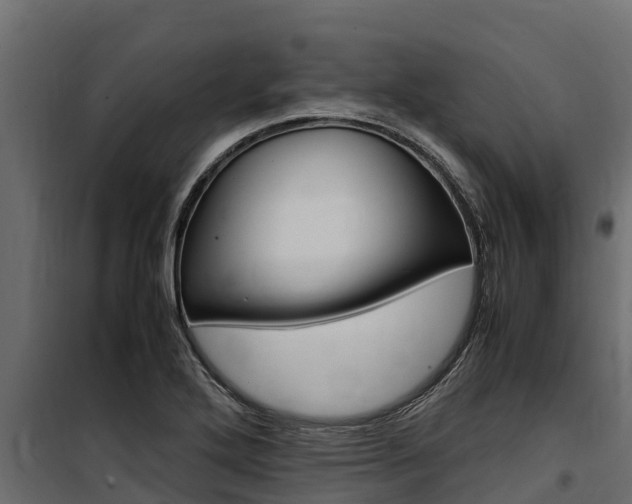 X0000100771272200806190924