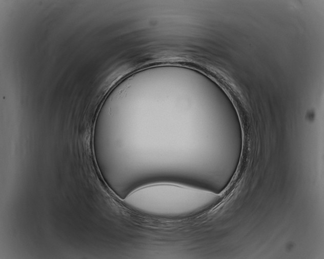 X0000100771273200806190924