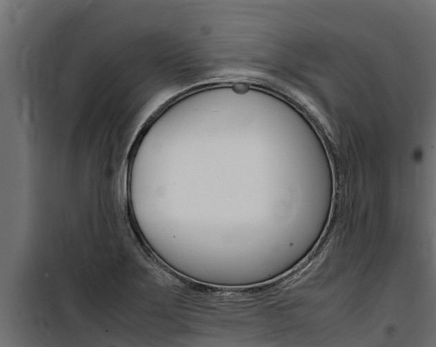 X0000100771275200806190924