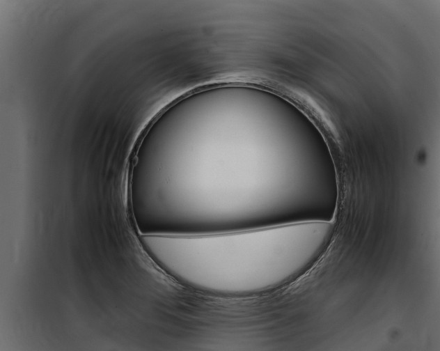X0000100771276200806190924
