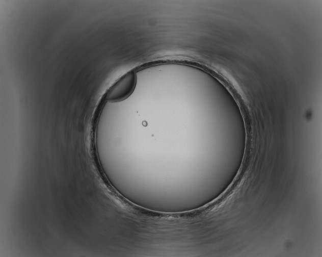 X0000100771277200806190924